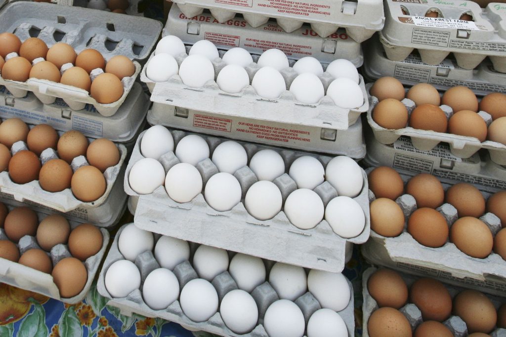 egg farm